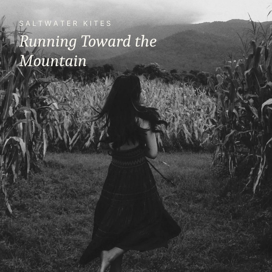 Cover idea, Running Toward the Mountain