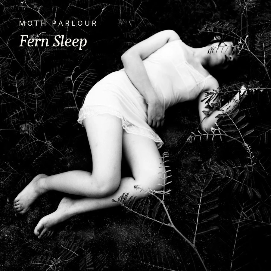 Cover idea, Fern Sleep